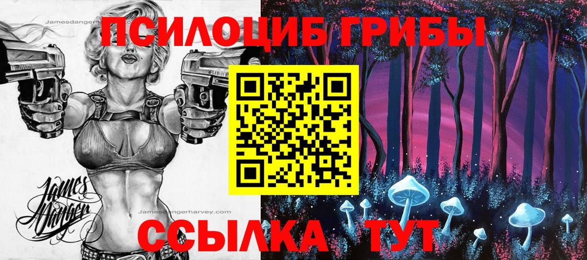 Саров  Псилоцибиновые грибы мухоморы  купить закладку  Вход с VPN 